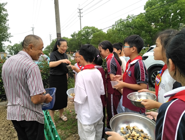 亲近自然学农耕，张桥小学学生跟着老师、门卫伯伯学种大蒜